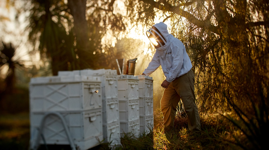 5 Common Mistakes New Beekeepers Make