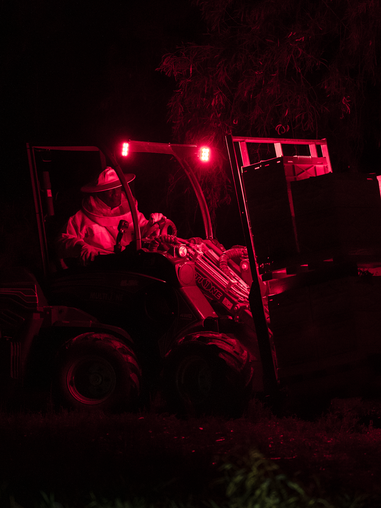 Night Work Lamp