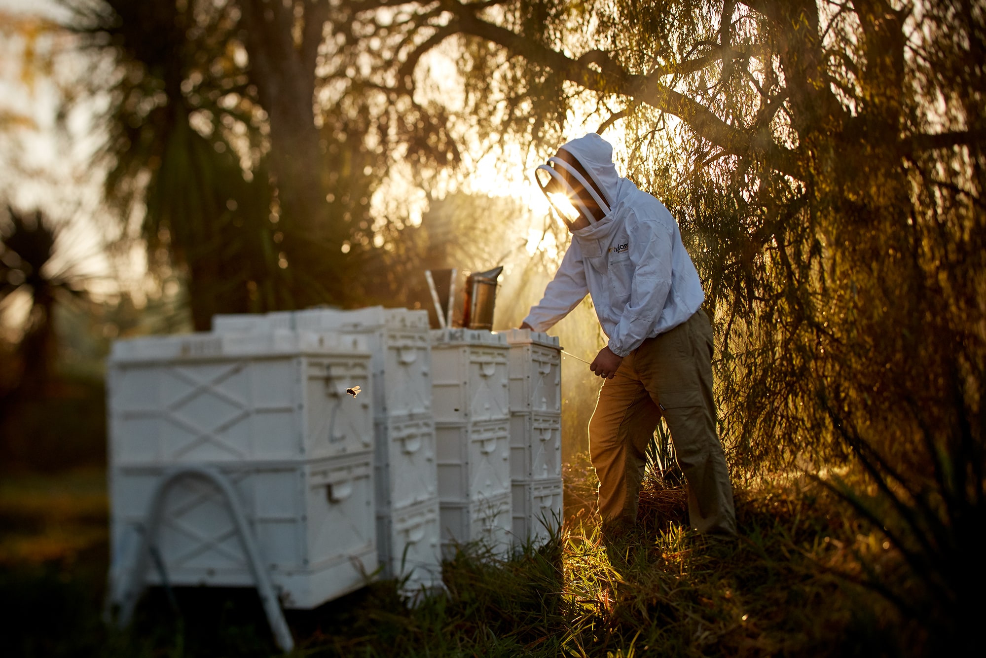 An apiarist using plastic bee hives by Nuplas Apiarist Supplies