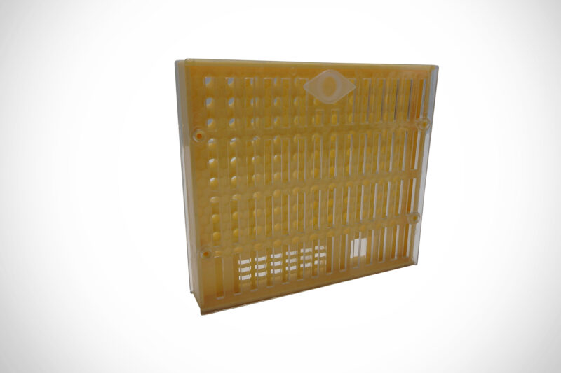 Queen Rearing Box