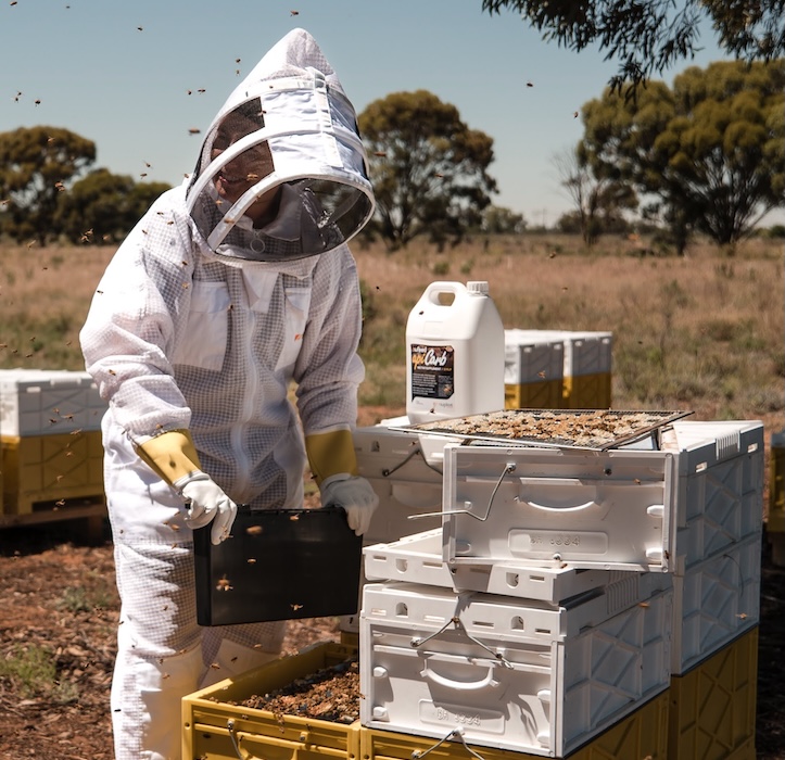 Checking hives