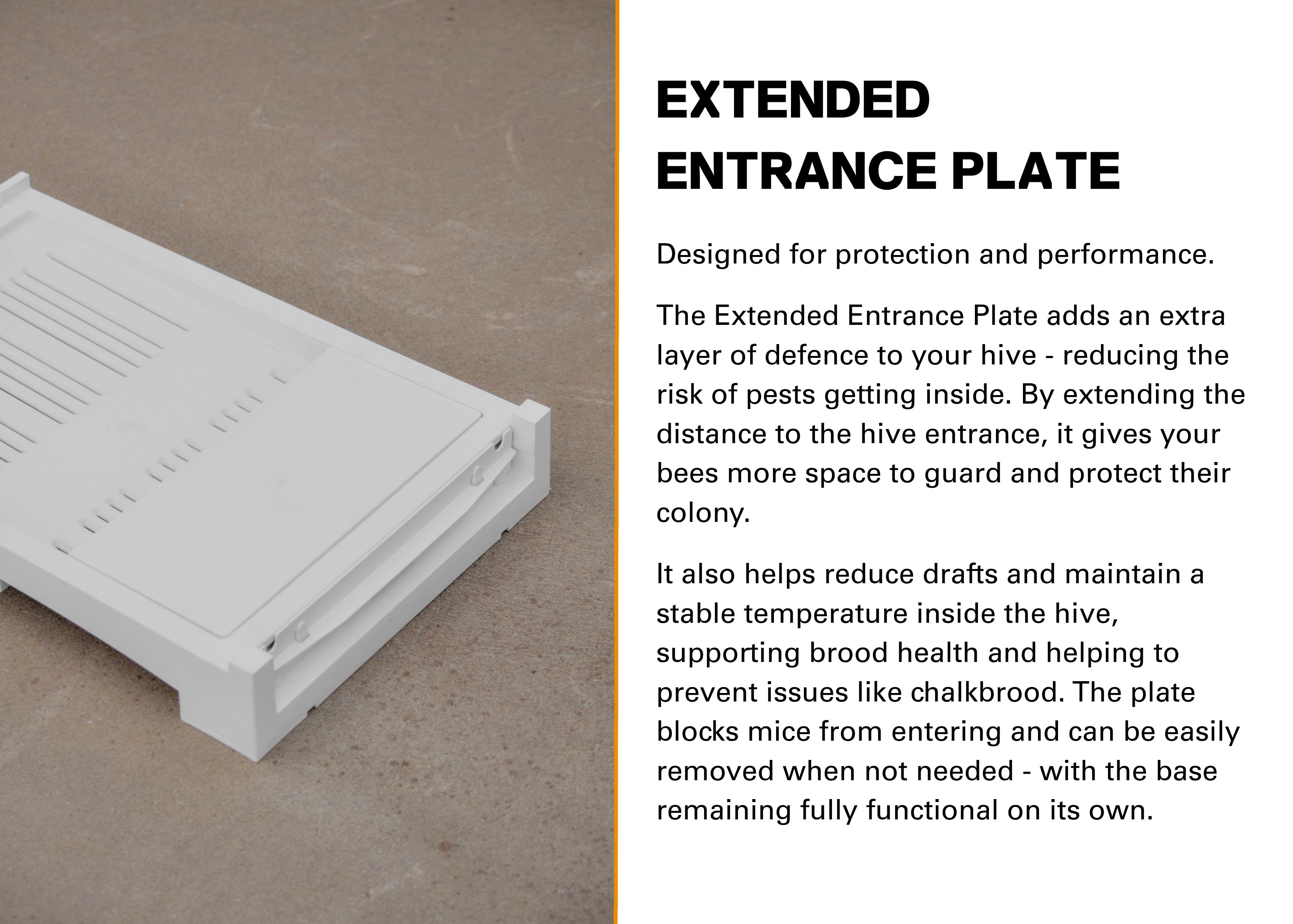 nexG 10 Frame Vented Base
